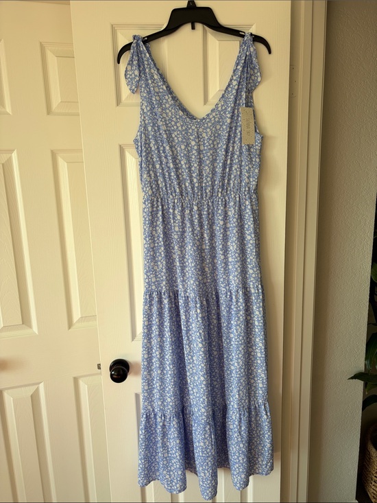 Sienna Sky Dresses & Skirts - NWT Sienna Sky Light Blue Floral Maxi Dress